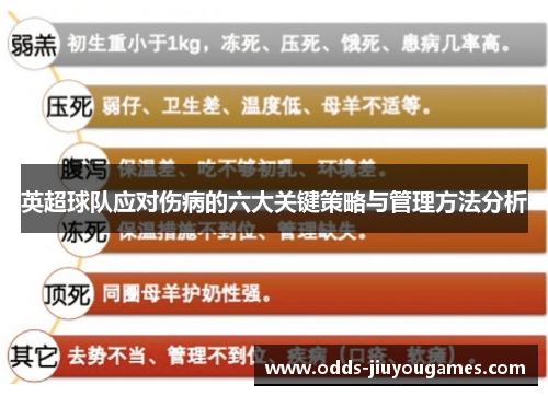 英超球队应对伤病的六大关键策略与管理方法分析