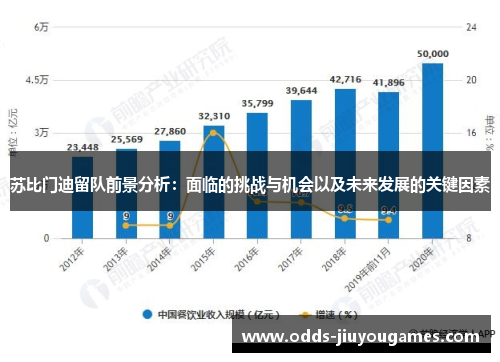 苏比门迪留队前景分析：面临的挑战与机会以及未来发展的关键因素